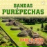 Bandas Purépechas