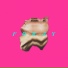 FORAY