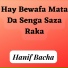 Hanif Bacha