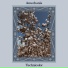 Amechania
