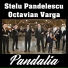 Stelu Pandelescu feat. Octavian Varga
