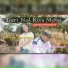Cindy Sianipar, Ronni Pangaribuan