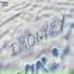 IMONKEY