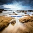 Low Tide Tunes