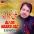 S Ali Nazar