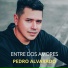 Pedro Alvarado