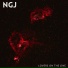 NGJ