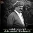 Ahmad Zebari