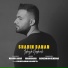 Shahin Banan