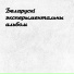 Nishol AI