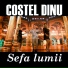 Costel Dinu