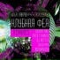 Илья Лавров
