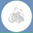 Disk Foice