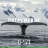 U-571