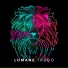 Lumane