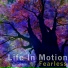 Solarsoul 2011