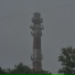 raizusan