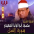 Al Sheikh Mahmoud Abo Al Wafa Al Seidy