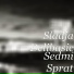 DJ Nasko & Prijatelji Remix CD Vol.5
