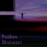 PainSeam