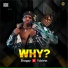 shagzy feat. Tobless