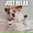 The Sleepy Sounds