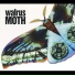 WALRUS