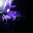 WORMSOUL