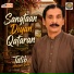 Talib Hussain Dard