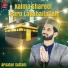Arsalan Sultani