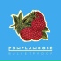 Pomplamoose