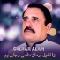 Gulzar Alam
