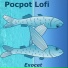 Pocpot Lofi