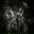Wizard2444
