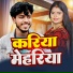 Ankit Bedardi, Manish Gautam
