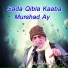 Arif Feroz Qawal