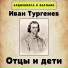 Аудиокнига в кармане, Максим Доронин