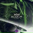 XM, Glazur