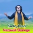 Sadiq Afredi
