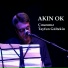 Akın Ok