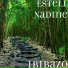 Estell Nadine