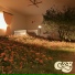 Gunnar Kemp, Cozy, Cozy Piano