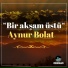 Aynur Bolat