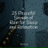 Alpha Waves, Rain Sounds Rain, Sons da natureza HD