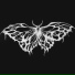 Bxtterfly Effect