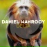 Daniel Wanrooy