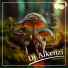 DJ Alkenzi