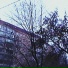 FilKoY