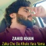 zahid khan