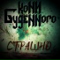 Кони Буденного